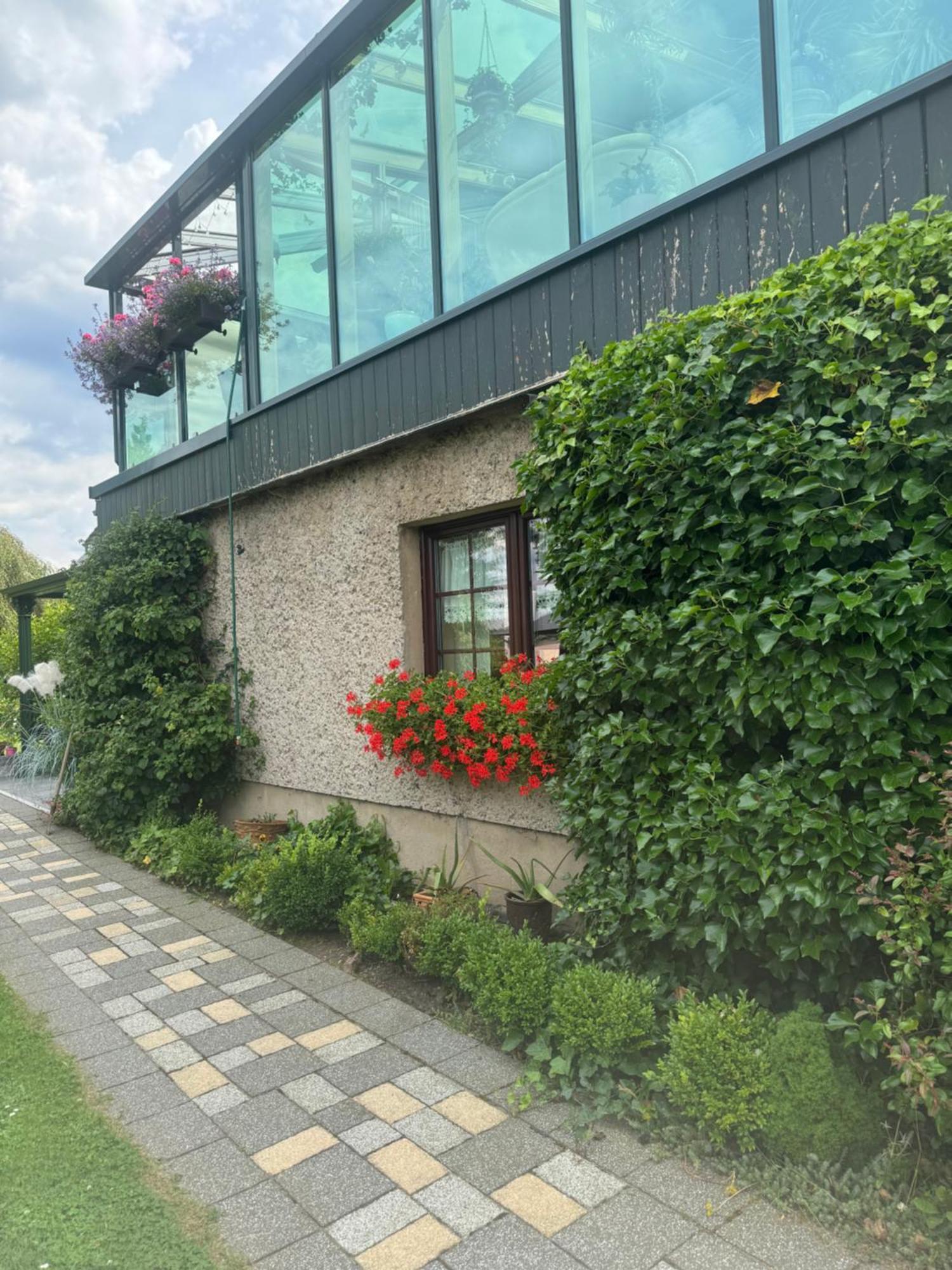 Ferienwohnung Hinterhermsdorf Glaser Sebnitz Buitenkant foto