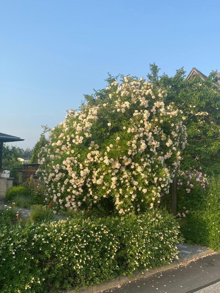 Ferienwohnung Hinterhermsdorf Glaser Sebnitz Buitenkant foto